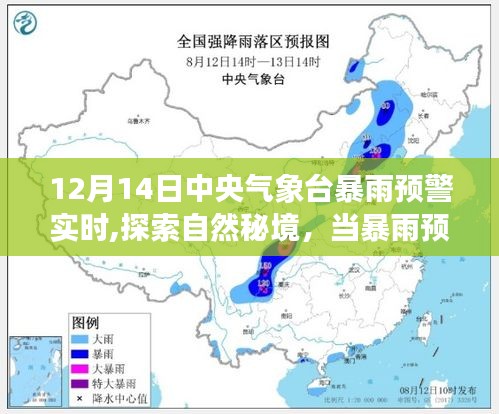 暴雨預(yù)警下的心靈之旅，探索自然秘境的奇妙旅程