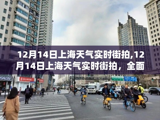 12月14日上海天氣實(shí)時(shí)街拍，全面評測與深度介紹
