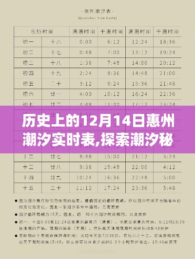 歷史上的12月14日惠州潮汐之旅，潮汐實時表與內(nèi)心的寧靜探索