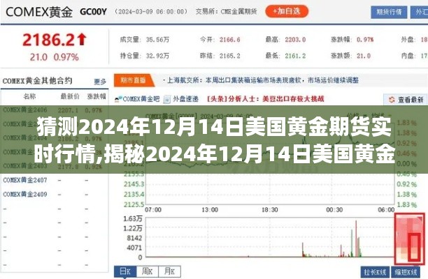 2024年12月14日美國黃金期貨行情預測與實時市場動態解析，洞悉市場動向揭秘未來走勢！