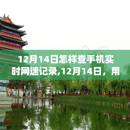 12月14日，掌中網速記錄下的自然美景探索之旅