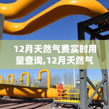 12月天然氣費(fèi)實(shí)時用量查詢系統(tǒng)詳解與深度評測
