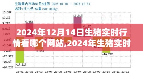 2024年生豬實時行情平臺深度評測，哪個網站最值得信賴？