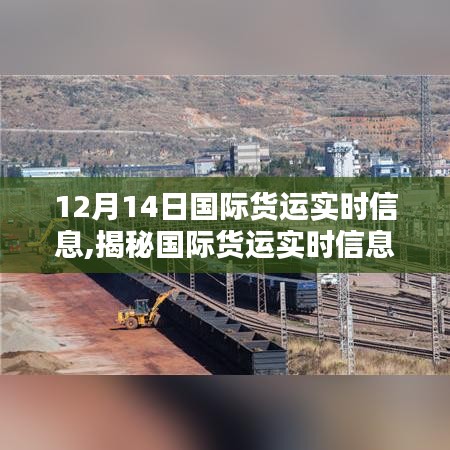 12月14日國(guó)際貨運(yùn)實(shí)時(shí)解析，全球物流動(dòng)態(tài)揭秘與洞悉之路