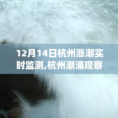 揭秘杭州潮涌背后的故事，十二月十四日漲潮實時監測觀察報告