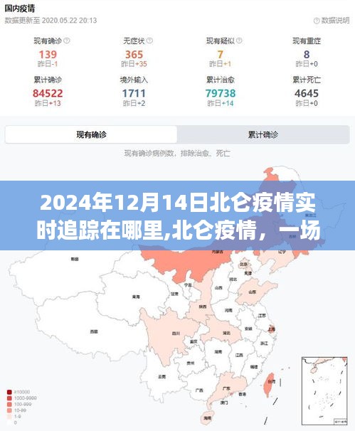 北侖疫情追蹤，透明管理與時(shí)代記憶交匯的歷程（2024年實(shí)時(shí)更新）