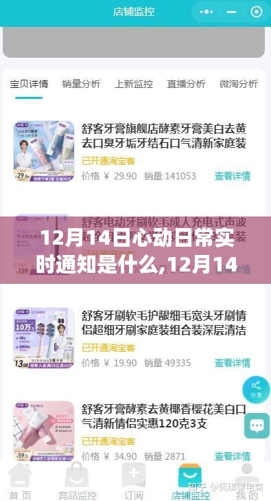 12月14日心動日常，自然之旅的啟示與實時通知，探尋內(nèi)心的寧靜與平和