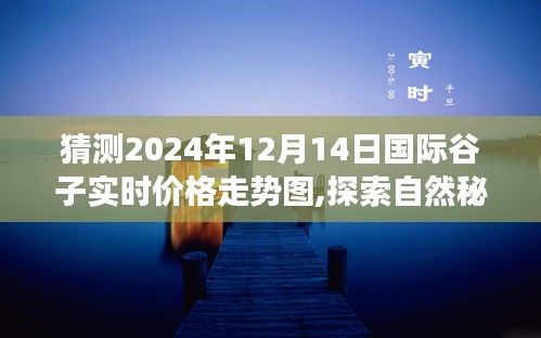 探索自然秘境，預(yù)見谷子未來，心靈之旅與谷價走勢圖展望（2024年12月）