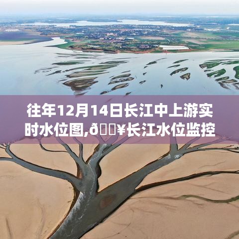 揭秘長(zhǎng)江中上游水位動(dòng)態(tài)，智能實(shí)時(shí)水位圖系統(tǒng)監(jiān)控新星，展示往年12月14日水位圖