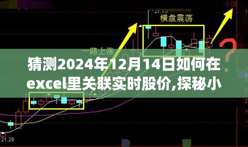 探秘Excel實(shí)時(shí)股價(jià)鏈接指南，如何關(guān)聯(lián)股市數(shù)據(jù)寶藏，2024年股市數(shù)據(jù)實(shí)時(shí)更新教程