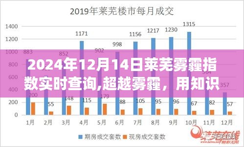 建議，超越霧霾，知識照亮未來——萊蕪霧霾中的勵志故事（實時霧霾指數查詢）