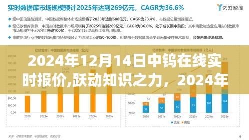 躍動知識之力，揭秘中鎢在線實時報價背后的勵志故事
