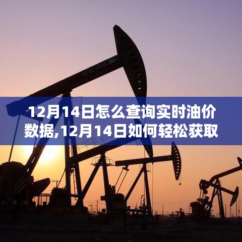 12月14日實(shí)時(shí)油價(jià)數(shù)據(jù)查詢指南，輕松獲取最新油價(jià)信息