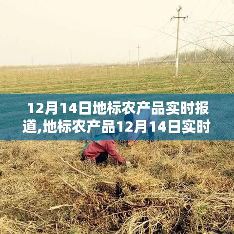 張弛不定 第3頁