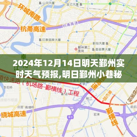 明日鄞州小巷秘境，天氣預報與美食的雙重驚喜（2024年12月14日）