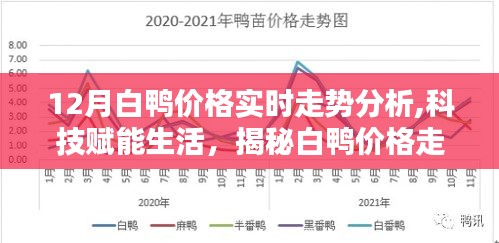 科技賦能生活，揭秘白鴨價格走勢背后的智能分析系統——最新白鴨價格實時走勢分析體驗報告