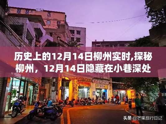 探秘柳州小巷深處的獨特風味之旅，歷史上的12月14日實時記錄