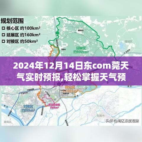 2024年12月14日東莞天氣預(yù)報，如何獲取并解讀實時天氣信息