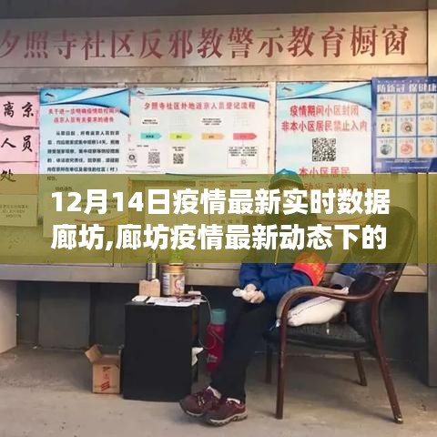 廊坊疫情最新動(dòng)態(tài)下的美食探秘與實(shí)時(shí)數(shù)據(jù)追蹤