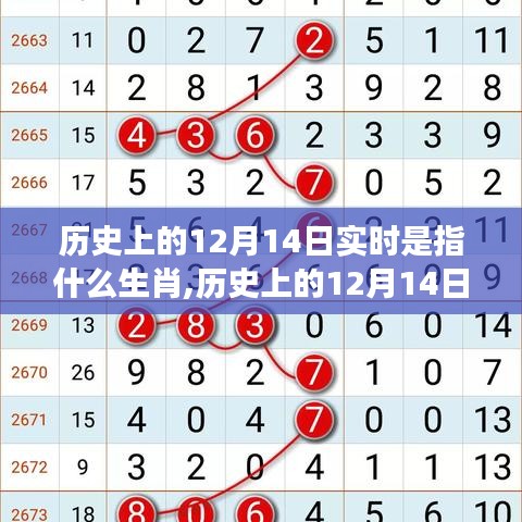 歷史上的12月14日與生肖文化，深度解讀與全面評估