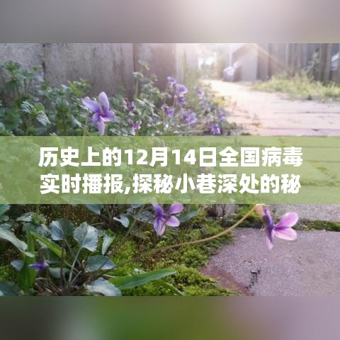 探秘歷史十二月十四日全國(guó)病毒播報(bào)與獨(dú)特小店的奇緣日