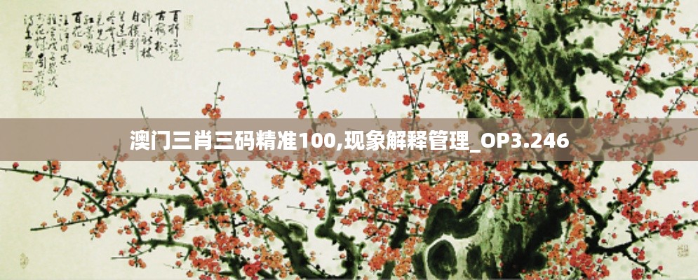 澳門三肖三碼精準100,現象解釋管理_OP3.246