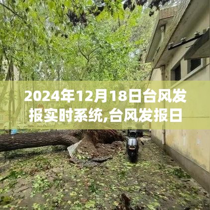 臺風發報實時系統與風的奇妙約會，探索自然美景之旅（2024年12月18日）