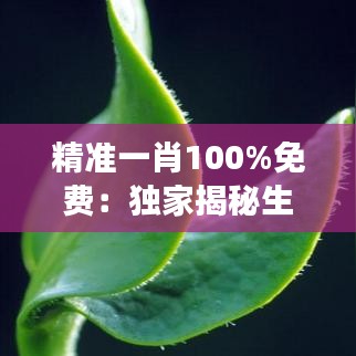 精準(zhǔn)一肖100%免費(fèi)：獨(dú)家揭秘生肖運(yùn)勢(shì)與財(cái)富增長秘籍