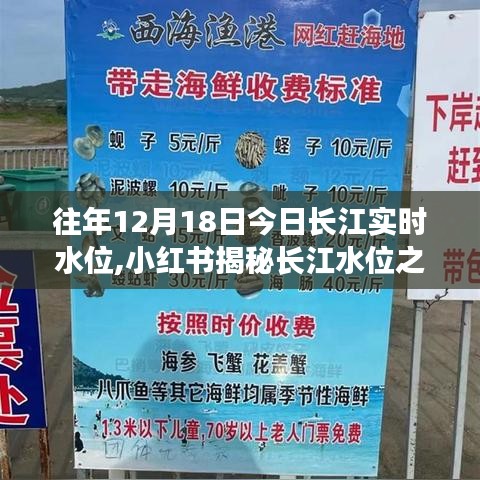 揭秘長江水位之謎，歷年12月18日長江實時水位深度解析與小紅書分享的水位數(shù)據(jù)回顧