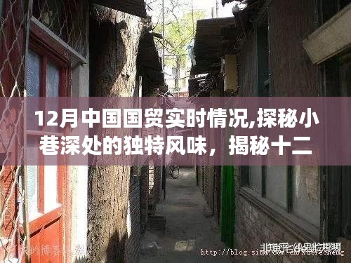 探秘十二月中國國貿(mào)小巷深處的獨(dú)特美食秘境實(shí)時報(bào)告
