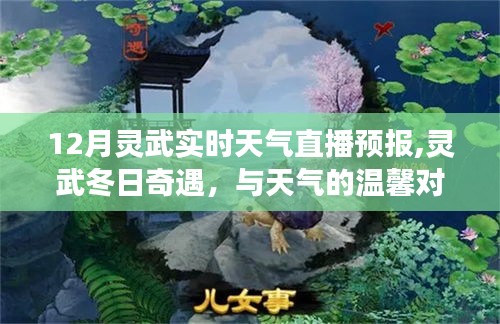 靈武冬日奇遇，實時天氣直播與朋友的深厚情誼體驗