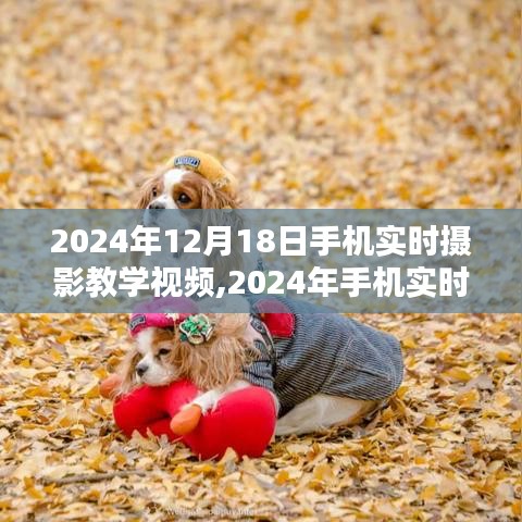 量入為出 第2頁