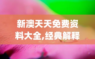新澳天天免費資料大全,經典解釋落實_桌面款14.367