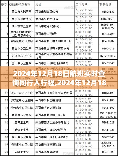 2024年12月18日航班同行人實時查詢，追蹤時代旅程的便捷工具
