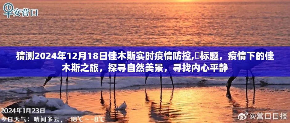 疫情下的佳木斯之旅，探尋自然美景與內心平靜，預測佳木斯疫情防控動態（2024年12月18日）