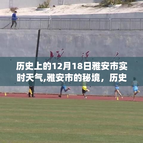 雅安市歷史天氣探索，秘境中的十二月十八日實(shí)時(shí)天氣之旅