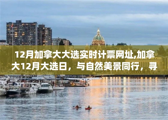 加拿大12月大選日與自然美景同行的心靈靜謐之旅實(shí)時(shí)計(jì)票網(wǎng)址揭曉