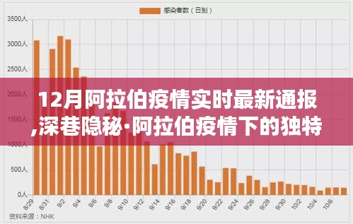 阿拉伯疫情最新通報與獨(dú)特風(fēng)味體驗(yàn)，深巷隱秘中的故事