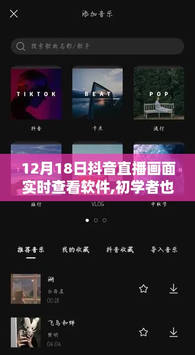 初學者必備！12月18日抖音直播畫面實時查看軟件使用指南與全攻略