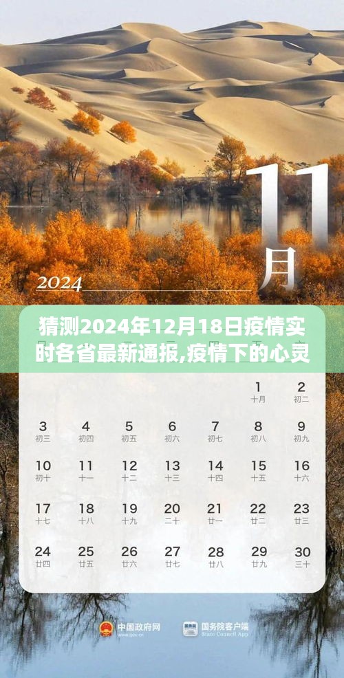 疫情下的心靈之旅，預(yù)測(cè)未來(lái)，擁抱自然美景的奇妙探險(xiǎn)之旅——2024年疫情實(shí)時(shí)通報(bào)