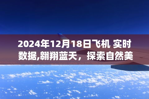 藍(lán)天之旅，探索自然美景的飛行數(shù)據(jù)紀(jì)實——2024年12月18日飛機實時數(shù)據(jù)