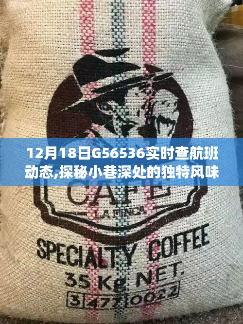 探秘隱藏小巷的獨特風味與G56536航班背后的故事，一家神秘小店的探索之旅
