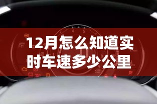 草間求活 第2頁(yè)
