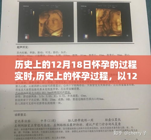 環肥燕瘦 第4頁