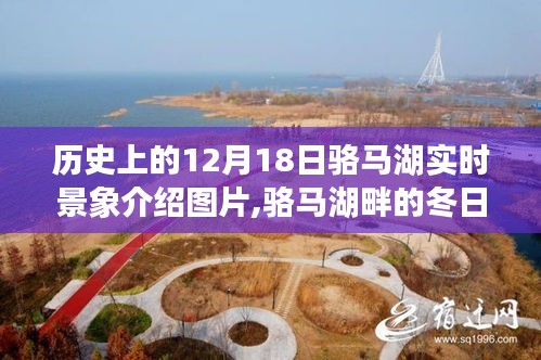 駱馬湖畔的冬日奇遇，追尋歷史中的溫暖瞬間與實時景象介紹圖片