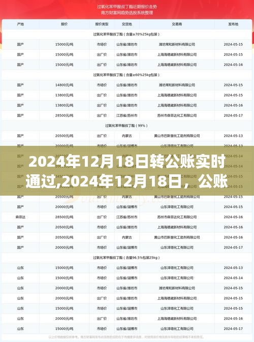 心靈之旅啟程日，公賬實(shí)時(shí)轉(zhuǎn)賬紀(jì)念與未來展望