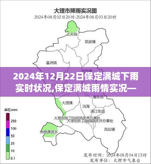 2024年12月22日保定滿城雨情實況，下雨實時狀況與天氣觀察