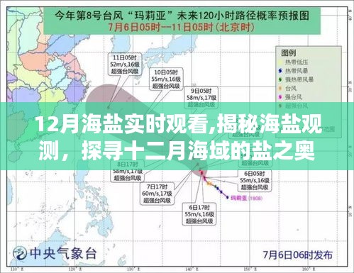揭秘十二月海鹽觀測(cè)，探尋海域鹽分的奧秘
