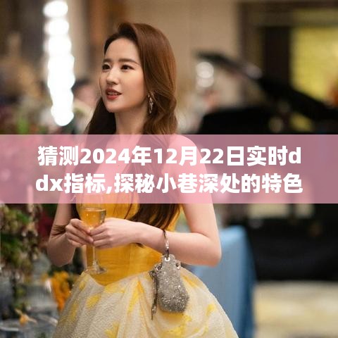 探秘小巷特色小店，預(yù)測2024年12月22日實(shí)時ddx指標(biāo)之旅揭秘猜測與體驗(yàn)分享