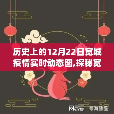 歷史上的寬城疫情動態與獨特小店防疫故事揭秘，十二月二十二日的深度探秘